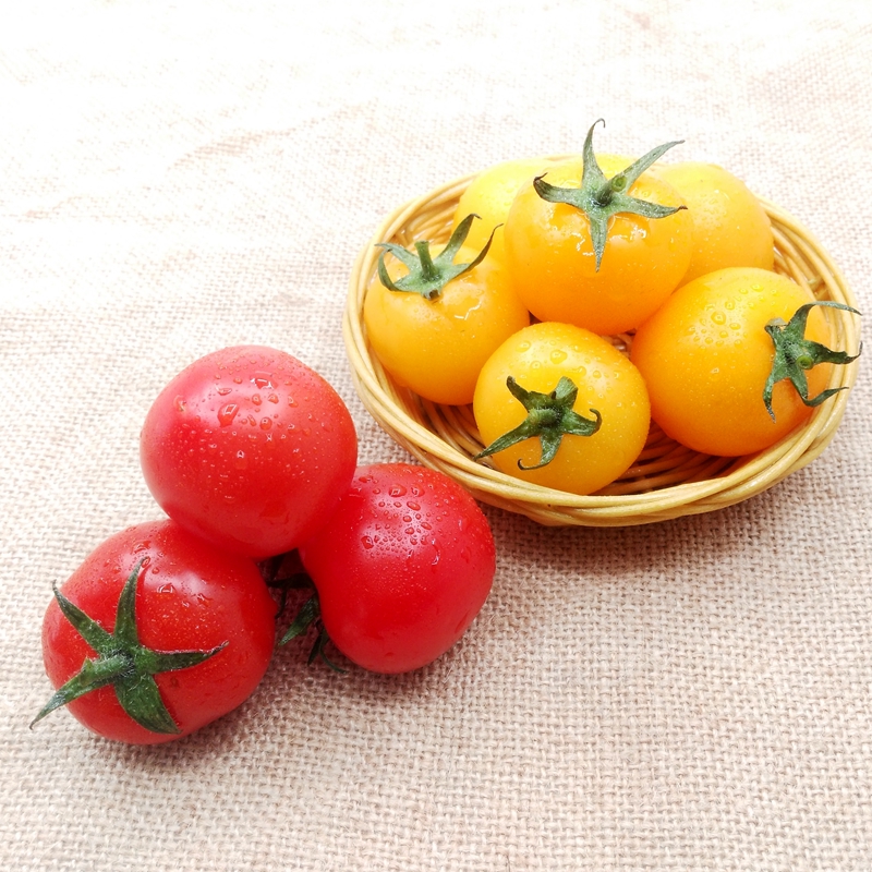 博多客串黄西红柿500g新鲜蔬菜串红柿番茄樱桃沙拉菜日天小番茄