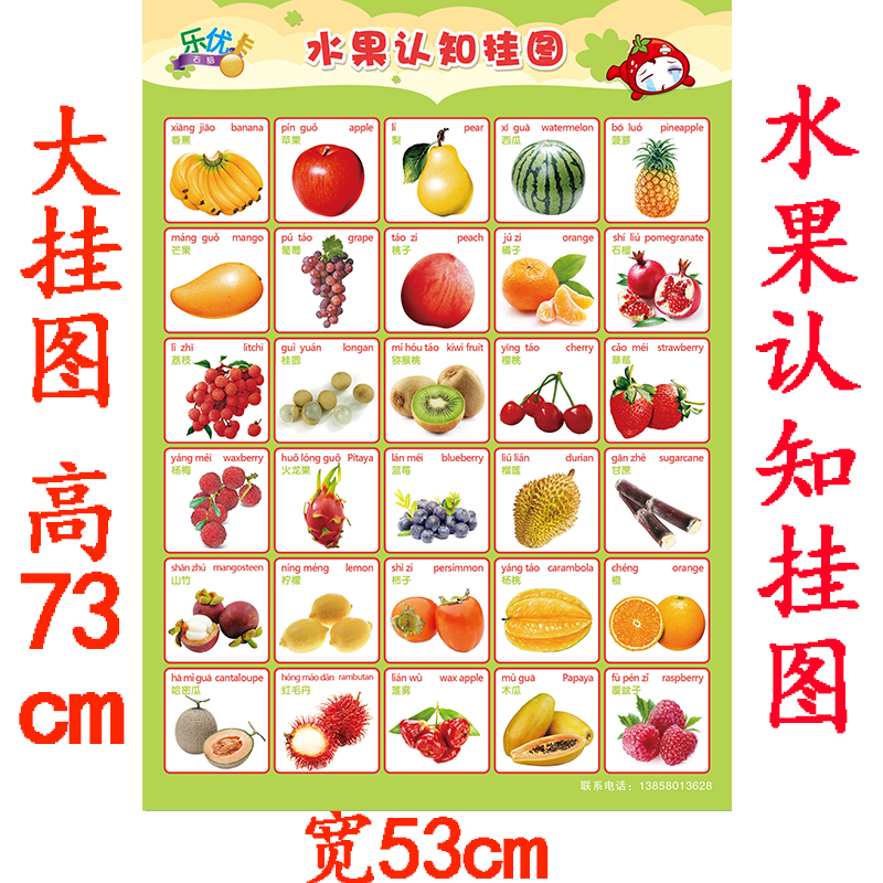 宝宝启蒙动物水果蔬菜花卉颜色形状认知挂图无声幼儿童看图识字全套