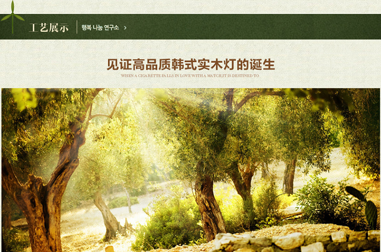 艾登 橡木实木客厅灯 卧室灯 餐厅灯 LED吸顶灯 中式木灯 餐吊灯 圆形灯具H0719 带LED芯片 白光