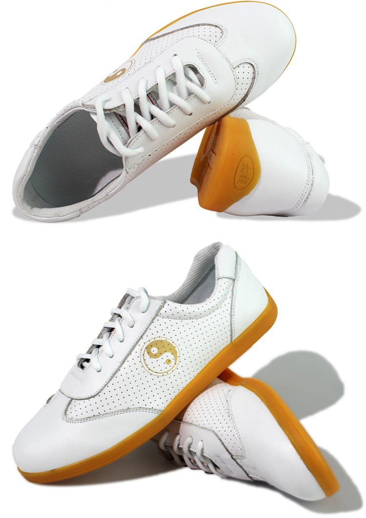 乔尚太极鞋女男新款夏季网眼透气真皮软牛筋底武术功夫鞋 黑色四季款