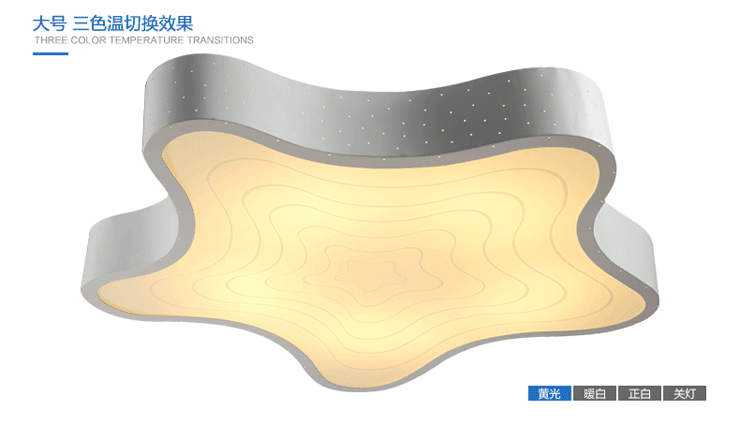 亮盟照明LED吸顶灯创意现代简约卧室客厅灯超亮节能省电灯具8603 LED白色 中号 无极调光调色+遥控