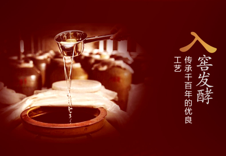 52度五粮液 股份出品 五粮PTVIP精制500ml*6