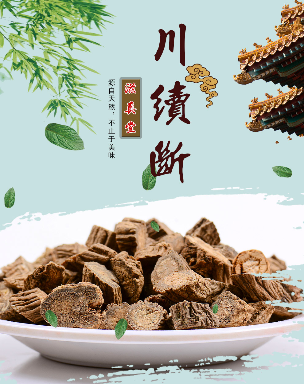 滋真堂 续断 川断川续断生续断川断肉龙豆属折接骨南草续断肉 续断100