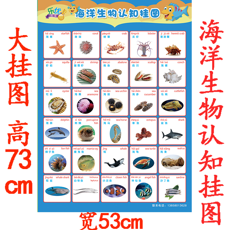 一,动物认知挂图 不包括绳子哦!绳子大家需要自备哦