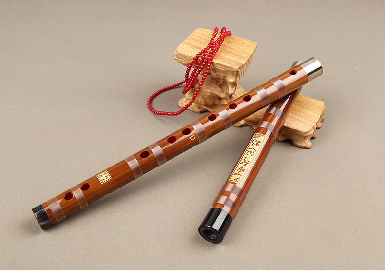 奇宝居 笛子 双插横笛 白铜牛角笛子f调 笛子初学乐器 s199 g调