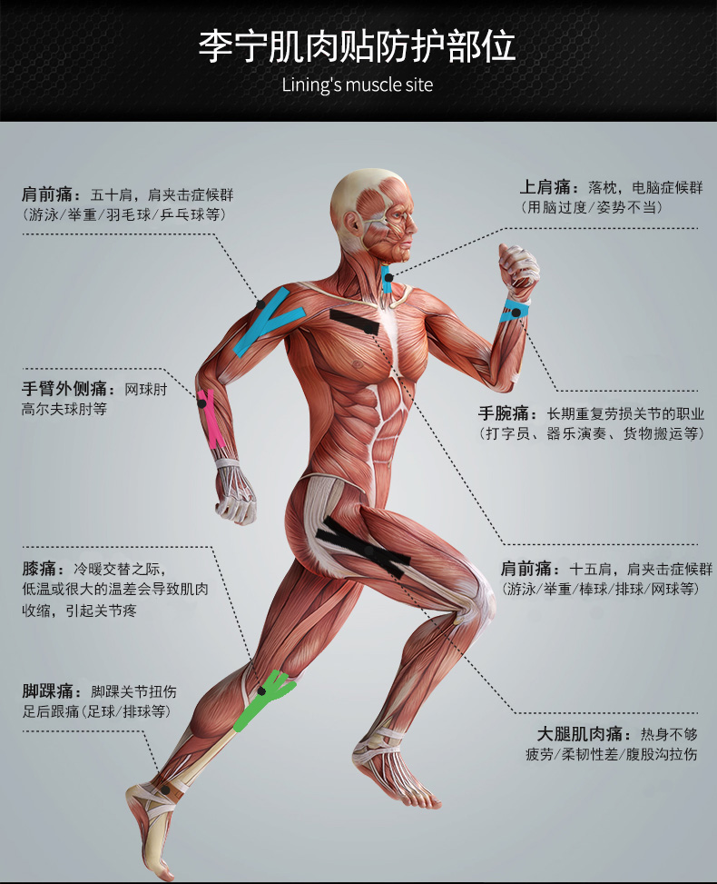 李宁(lining) lqak100李宁肌肉贴运动肌内效贴布弹性绷带运动胶带肌肉