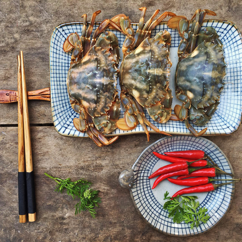 莱州湾 烟台鲜活花盖蟹螃蟹铁脚蟹 石蟹 500g 4-5只 大个头_ 7折现价