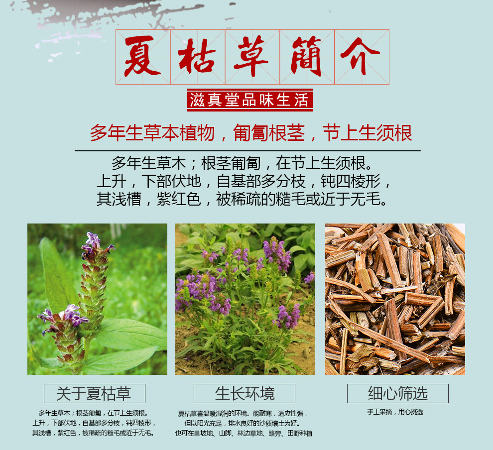 滋真堂 夏枯草 白毛夏枯球夏姑草夏菇草 夏谷草夏古草 夏枯球100g