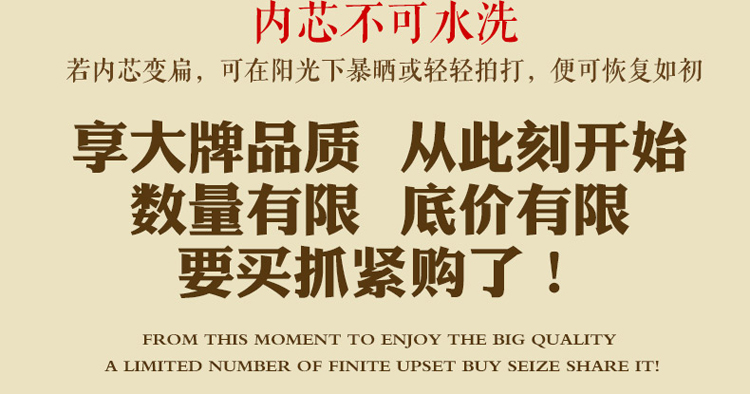 圣美绮抱枕靠垫 办公腰枕 午休抱枕  车用腰垫含芯 贝芙丽气质蓝1 38*38cm风车型靠垫含芯