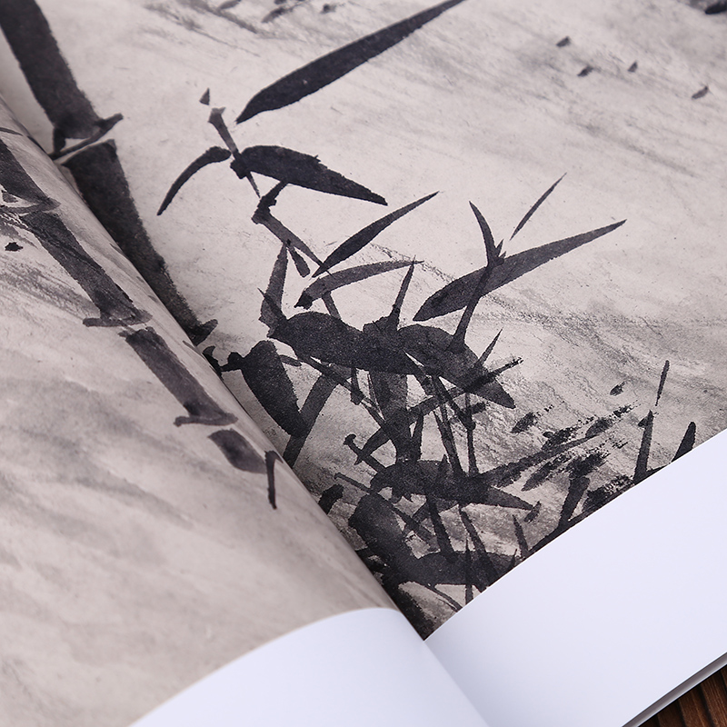 中国画大师经典系列丛书 夏昶国画书籍