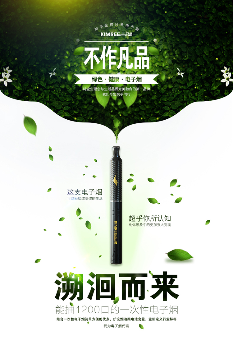 主体 类别 电子烟 外壳材质 其他                      暂无