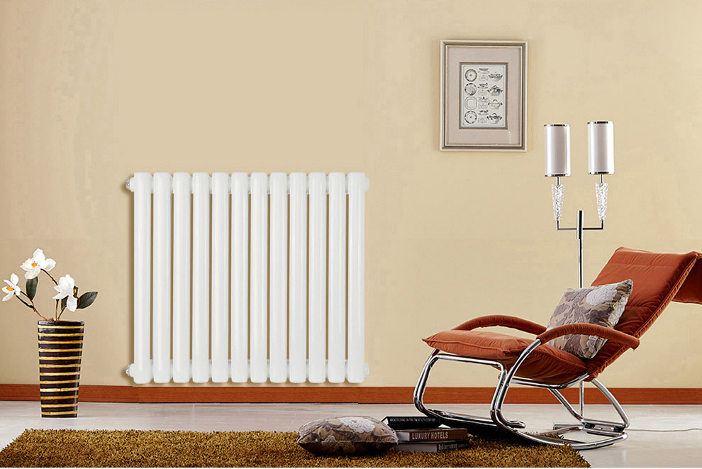 塞纳春天暖气片钢制60片头家用水暖散热器散热片单片默认色亮白色1200