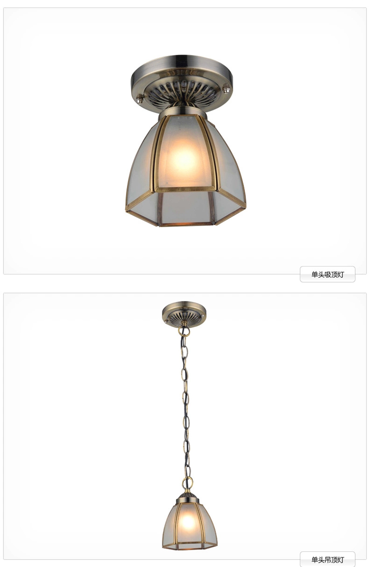 艾登 欧式吊灯 简北欧吊灯 客厅灯 卧室灯 餐吊灯 LED吸顶灯N3073 带LED光源 9头 吸吊两用