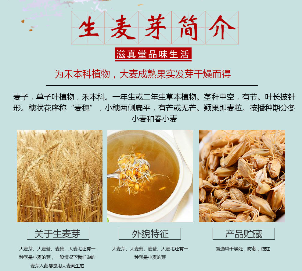 滋真堂生麦芽麦芽麦芽生农家自种生麦芽生麦芽250g