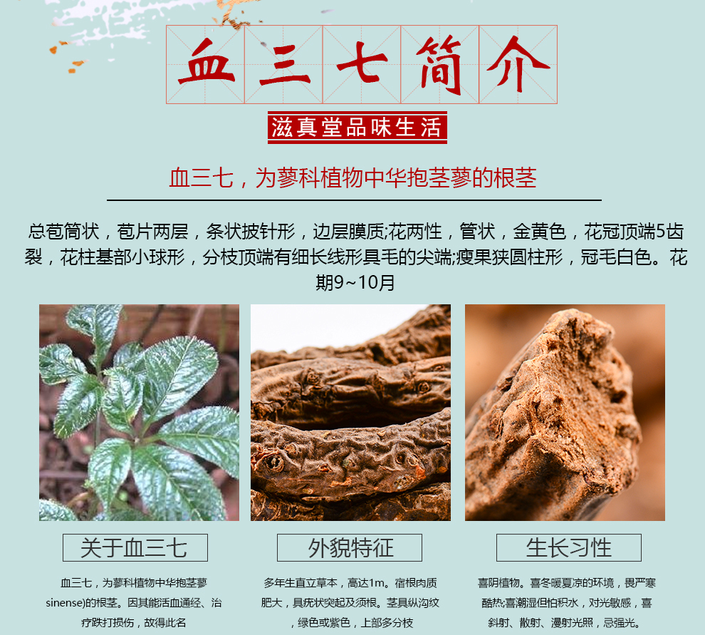 滋真堂 血三七 红三七 三七草 血三七50g【图片 价格 品牌 报价】