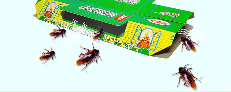 康宇蟑螂屋蟑螂捕捉器物理灭蟑螂贴粘板诱杀蟑螂药全窝端 蟑螂屋1盒(1