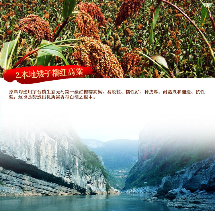 贵州茅台集团 白金特曲酒 白酒 53度白酒 白金