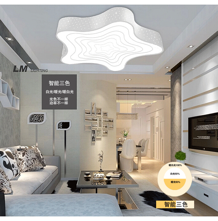 亮盟照明LED吸顶灯创意现代简约卧室客厅灯超亮节能省电灯具8603 LED白色 中号 无极调光调色+遥控