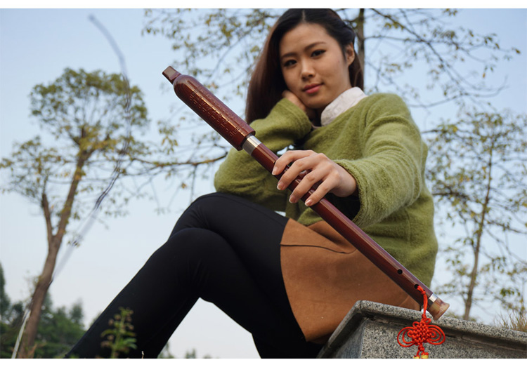 晨(saysn) 巴乌竖吹型f调g调初学者入门演奏级乐器w826仿红木竖吹巴乌