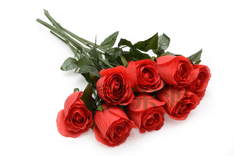 九朵玫瑰花