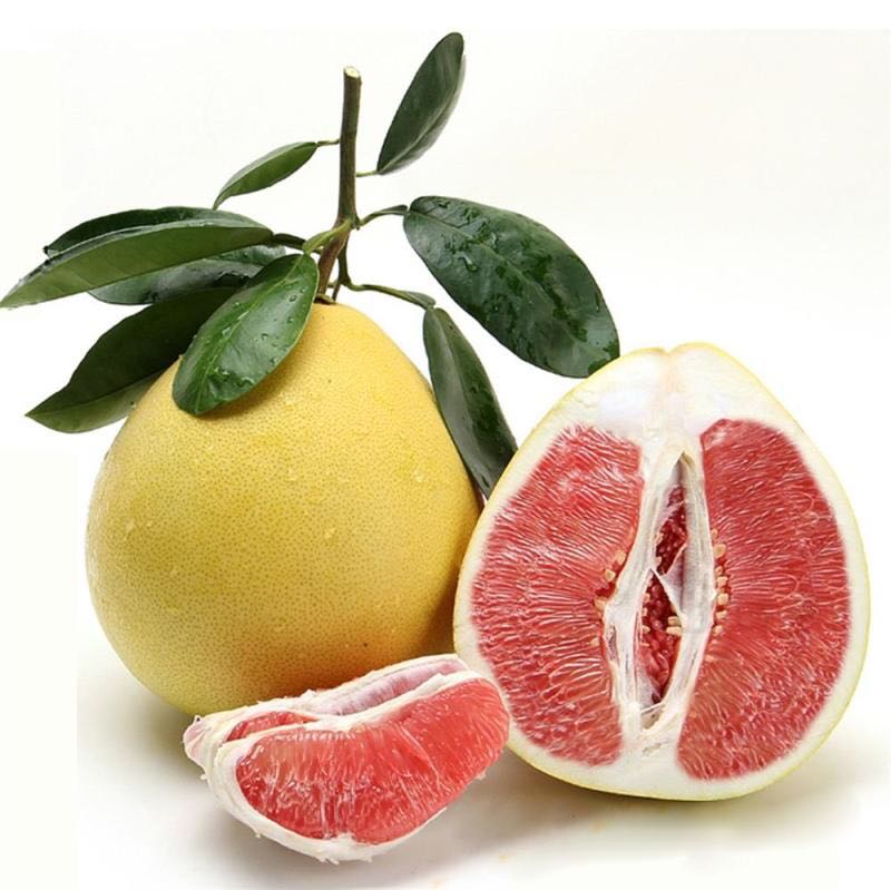 【红肉蜜柚】红心柚子 农家红柚三红福建官溪蜜柚琯溪 红柚2个装【4斤