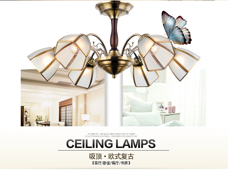艾登 欧式吊灯 简北欧吊灯 客厅灯 卧室灯 餐吊灯 LED吸顶灯N3073 带LED光源 9头 吸吊两用