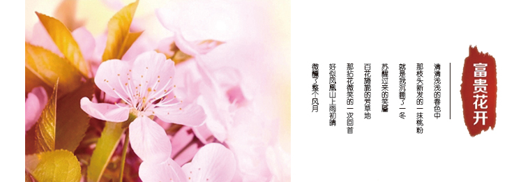 
                                        琛帛蚊帐不锈钢加粗螺纹支架 方顶 三开门拉链式 防蚊公主宫廷柔软 加密 蚊帐 紫色 1.8*2m床                