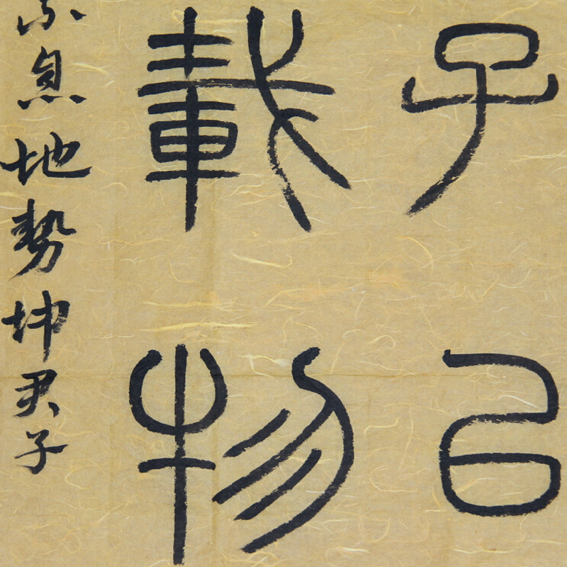 河南省书法家协会会员 张海峰 篆书 斗方 天行健