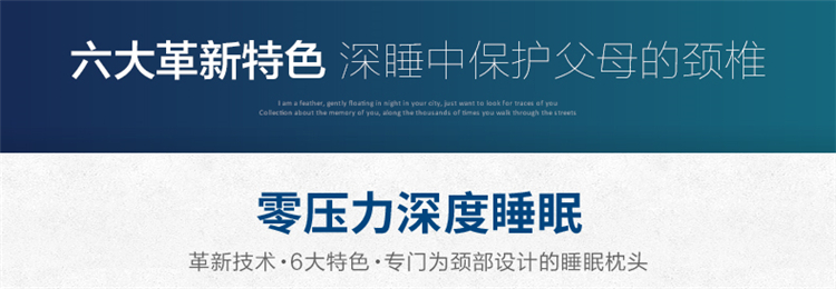
                                        旗舰店 记忆枕头芯 枕芯太空棉记忆 保健护颈记忆枕 慢回弹颈椎枕 白色孝心枕A 62/35/9/11                