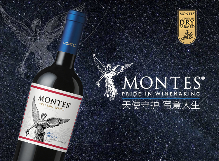 正品行货 品牌代理 智利蒙特斯经典赤霞珠干红