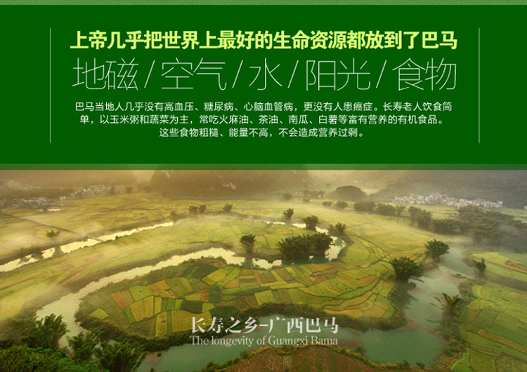 广西巴马长寿系列 道心园火麻茶3g*20包*4盒礼盒装
