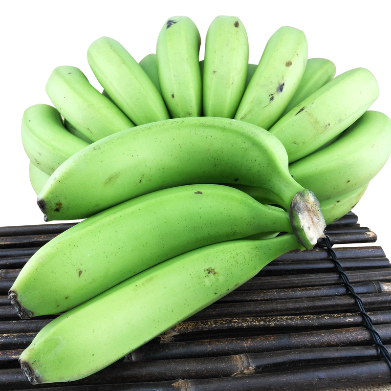 博多客 8斤装 香蕉 现摘现发 青香蕉 新鲜水果 非小米蕉粉蕉 芭蕉 圣