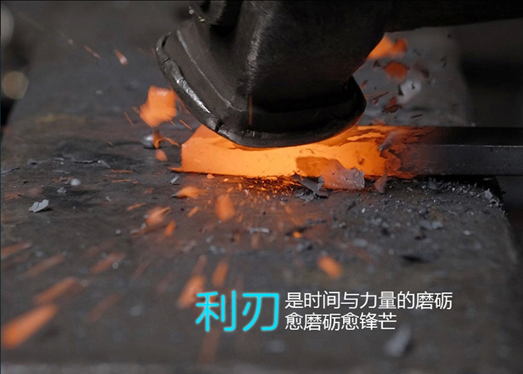 预售 ZUANJ钻技厨师刀8寸多功能刀 不锈钢切片刀食品级涂层不粘刀