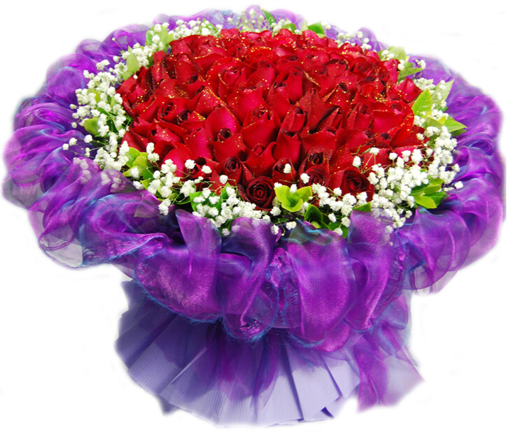 商品简介: 花材:99枝昆明红玫瑰,满天星栀子叶围边,淡紫色卷边皱纹纸