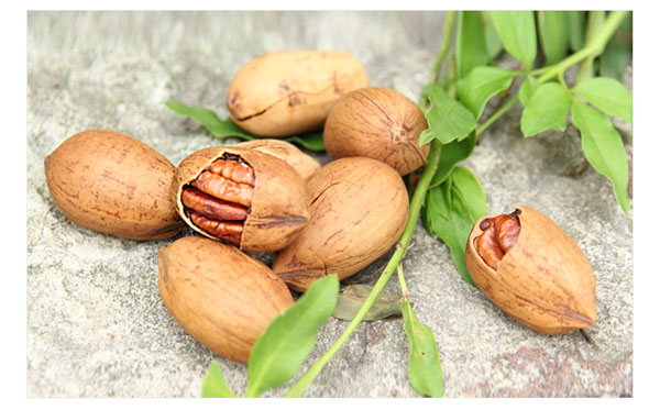 劲旺碧根果450g*1袋-京东