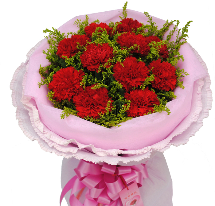 商品花材: 11朵/枝红色康乃馨,黄莺间插; 商品包装: 粉色棉纸内衬,卷