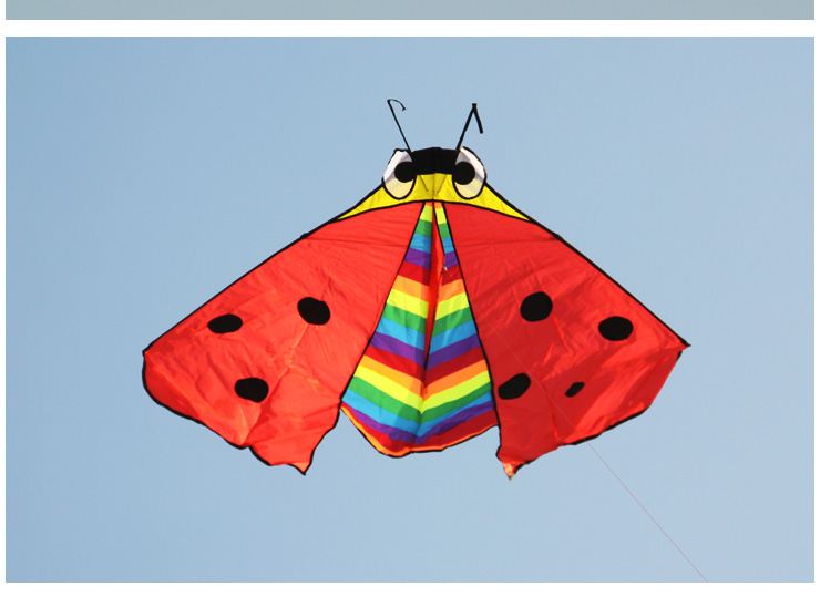 凯旋风筝 微风瓢虫风筝 儿童最爱卡通