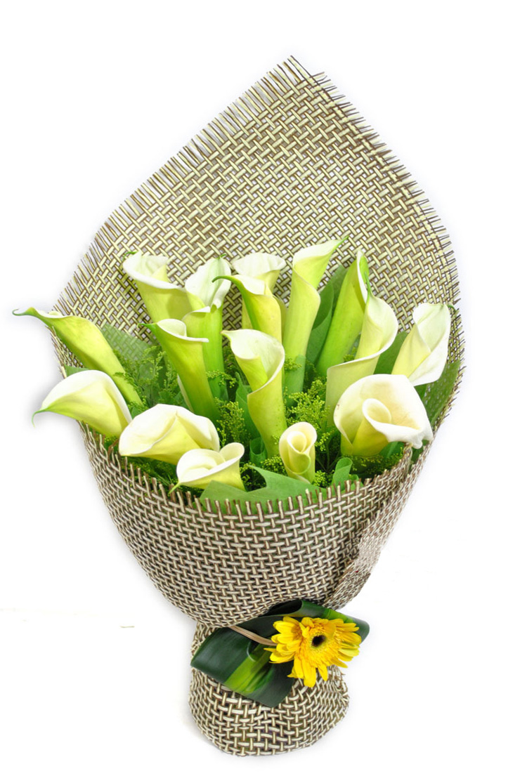 乐舞鲜花速递 16枝马蹄莲花束 生日鲜花 平时价