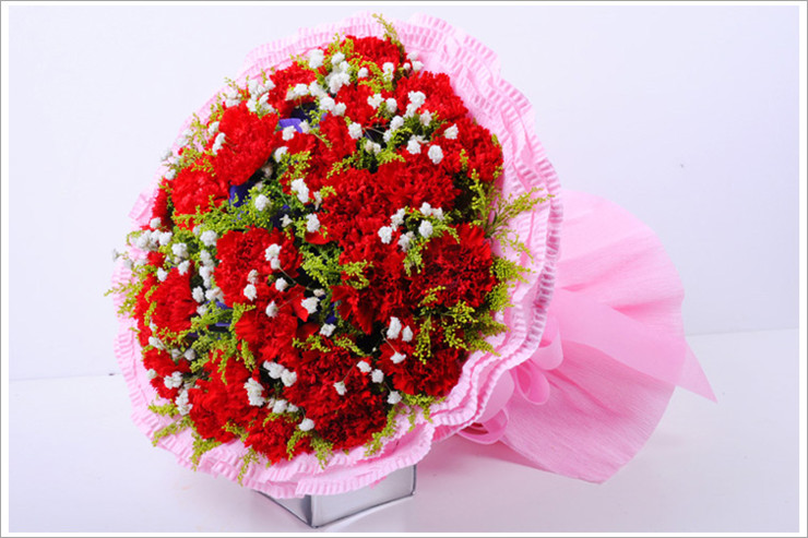 爱唯一鲜花速递红色康乃馨花束送妈妈生日节日礼物 19枝粉色包装 鲜花