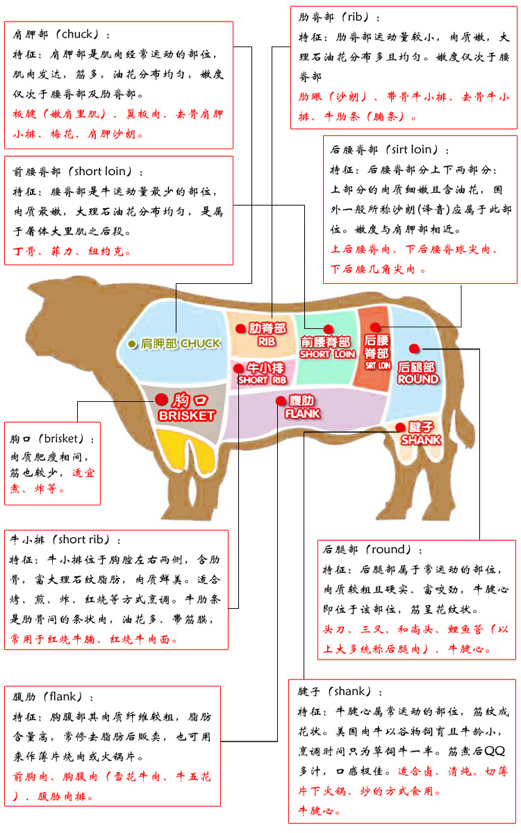 牛排的解剖图