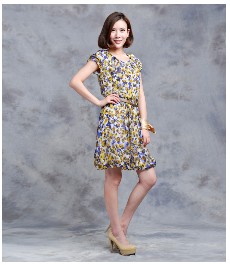 feizi菲姿2013新款夏季 女式桑蚕丝束腰圆领印花短袖连衣裙 f0417