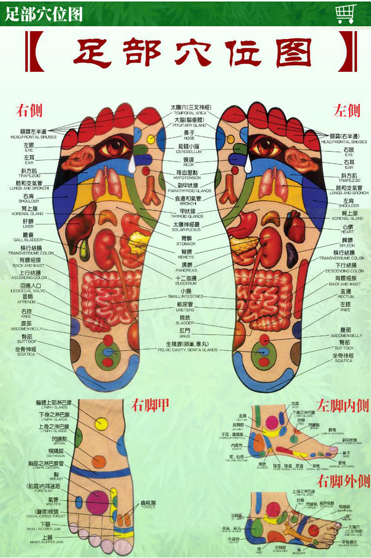 唐山川岳 采用国外嵌接技术保证50年玛瑙石不会掉 按摩足疗脚底板