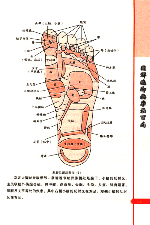 大脚趾颈椎反射区图片图片