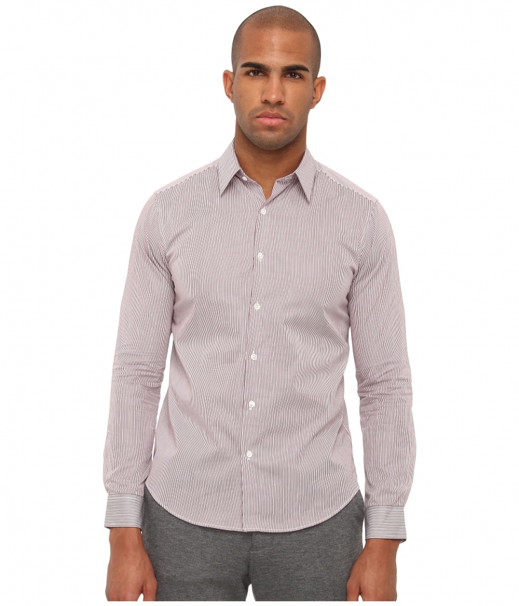 capture the cherished charm of the theory sylvain colvin.