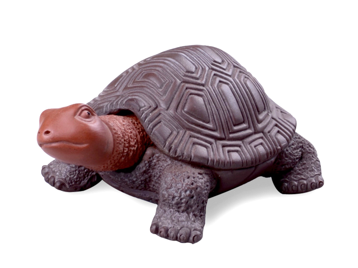 龟,还是长寿的象征,在闽南永春有一种习俗,将印有龟纹的饼,俗称"榜舍