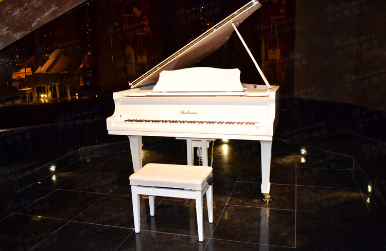 钢琴的一般结构和特点