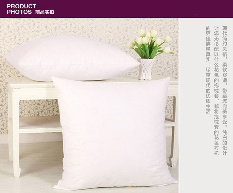 优梦 抱枕芯 靠枕芯 沙发抱枕枕芯 50*50cm 厚无纺布