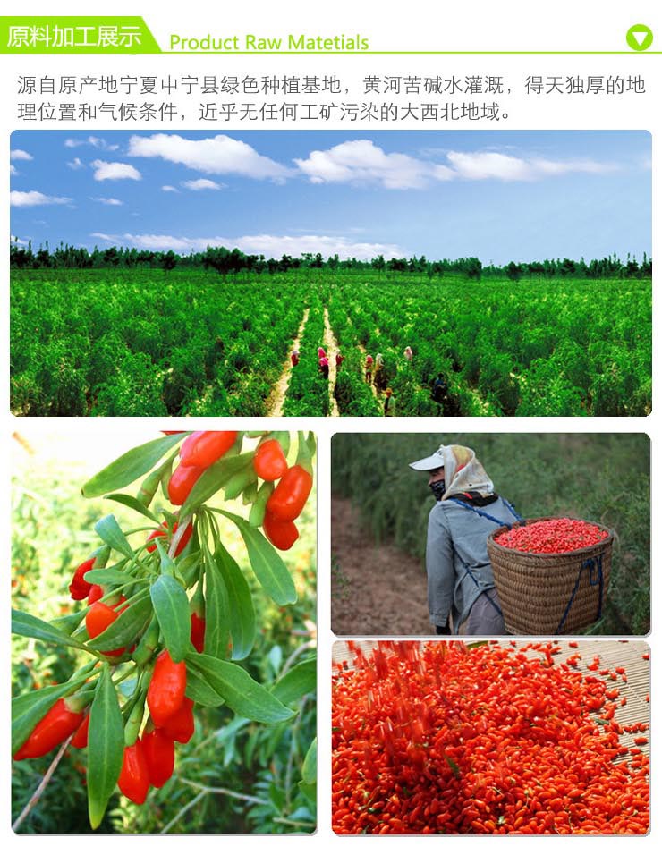 沃福百瑞 宁夏枸杞子 绿色无农残 特优级245g/袋