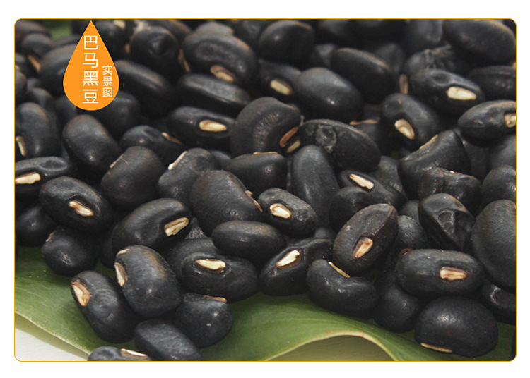 如果说饭豆是豆中珍品,那么乌豆就是饭豆中的极品了!