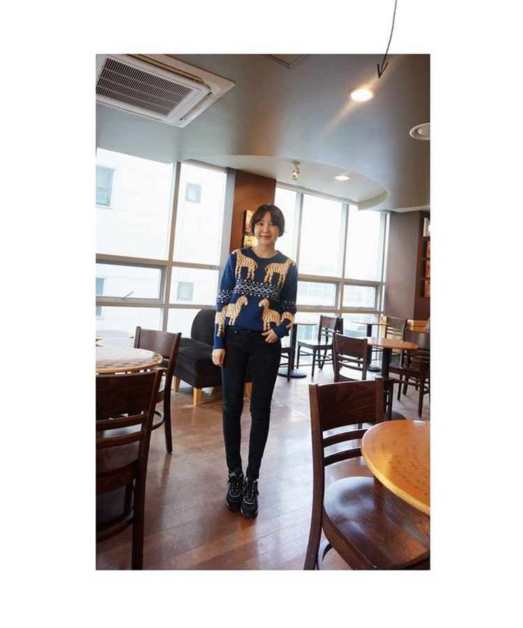 奥利弗oliver 2014秋冬新款可爱彩色斑马图案百搭针织套头毛衣8107